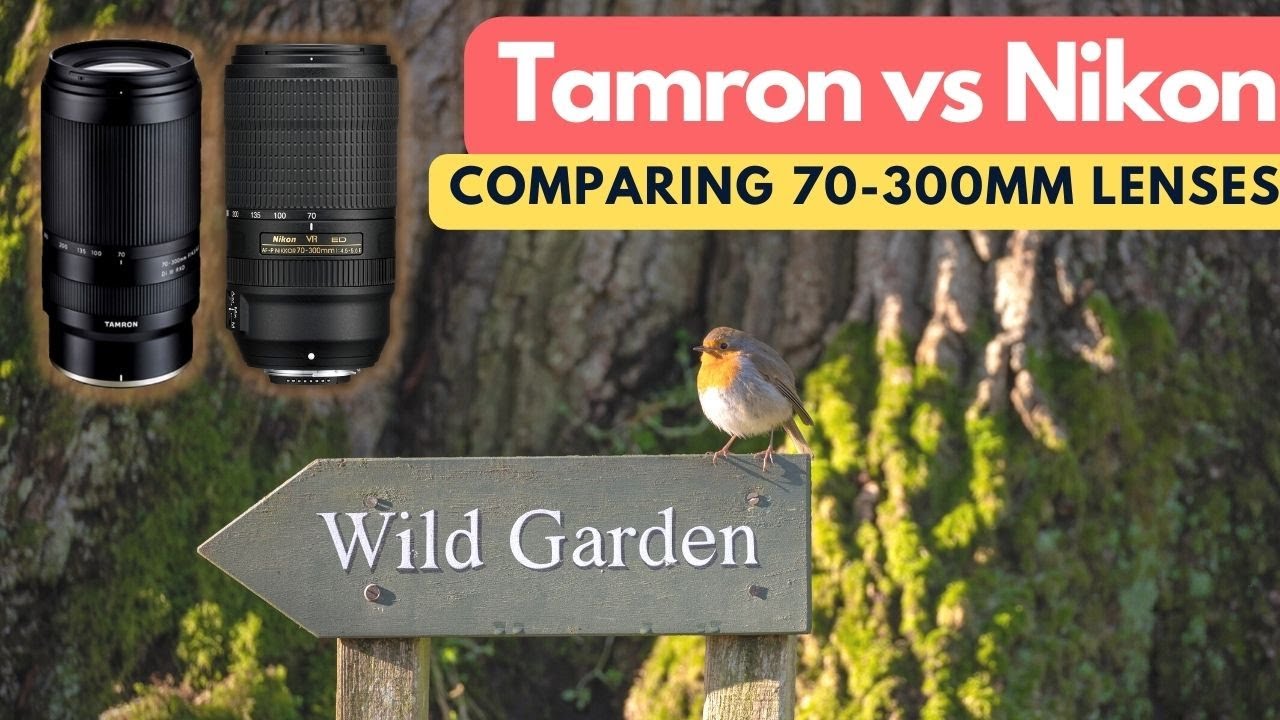Nikon 70-300 мм с креплением F против Tamron 70-300 мм с креплением Z — СРАВНЕНИЕ