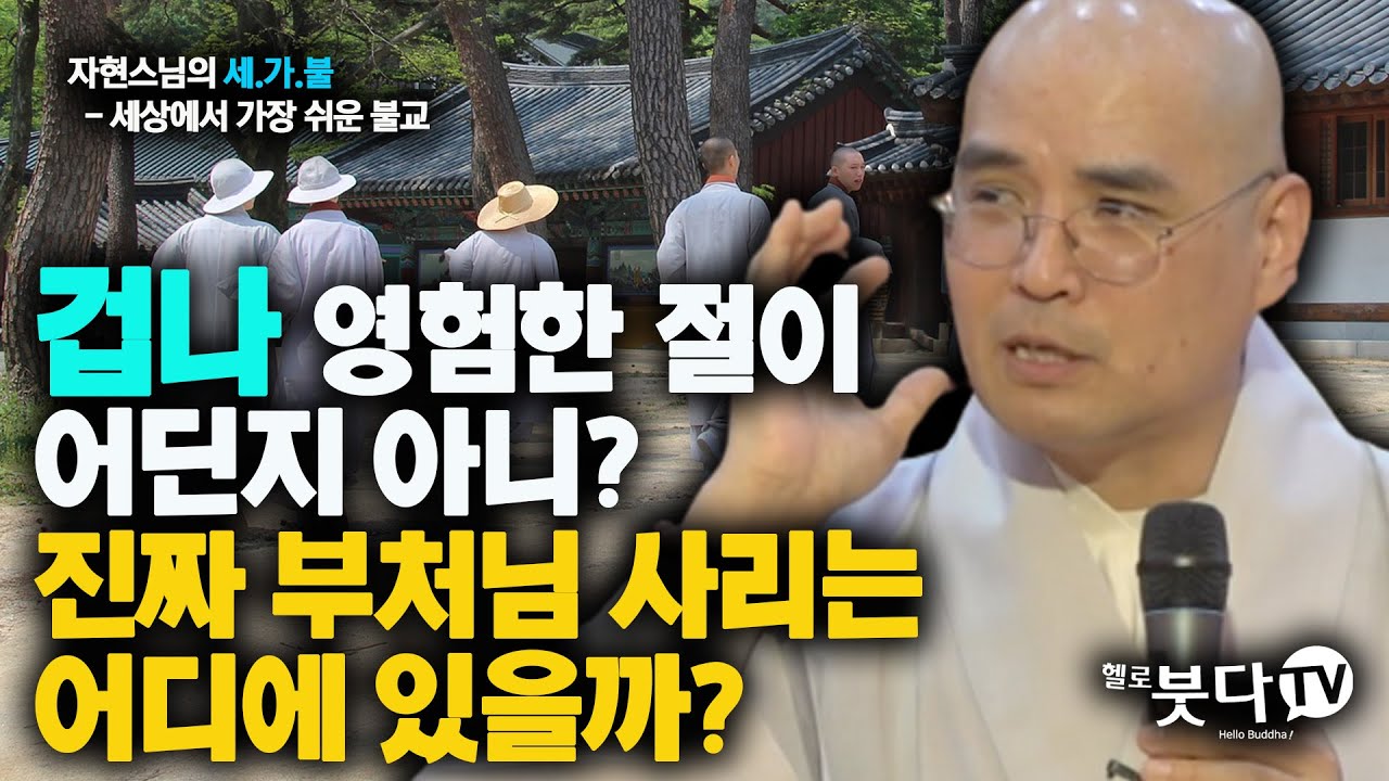 겁나 영험한 절이 어딘지 아니? 진짜 부처님 사리는 어디에 있을까? | 재미 종교 불교 사찰 문화 역사 | 자현 스님의 세상에서 가장 쉬운 불교 9회