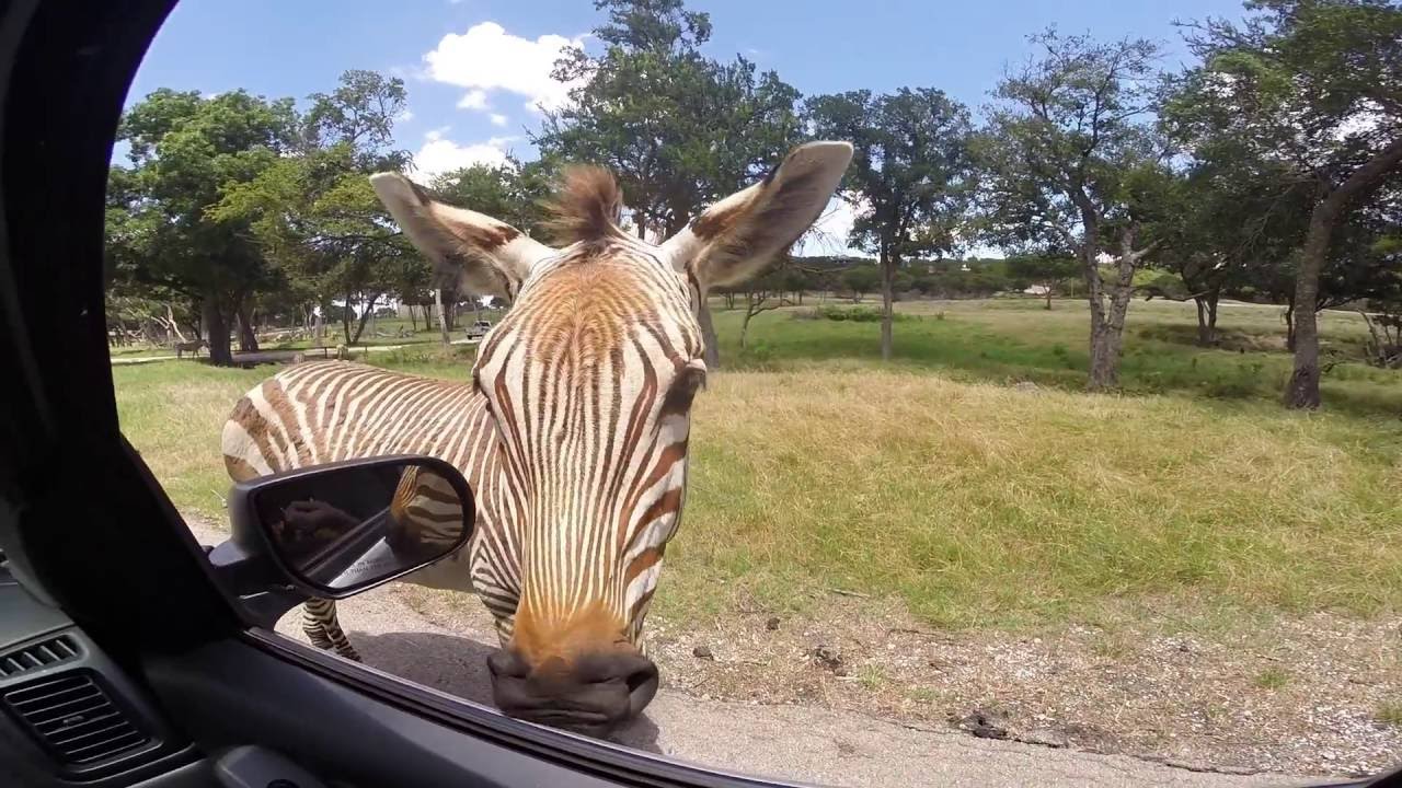Fossil Rim Wildlife Center