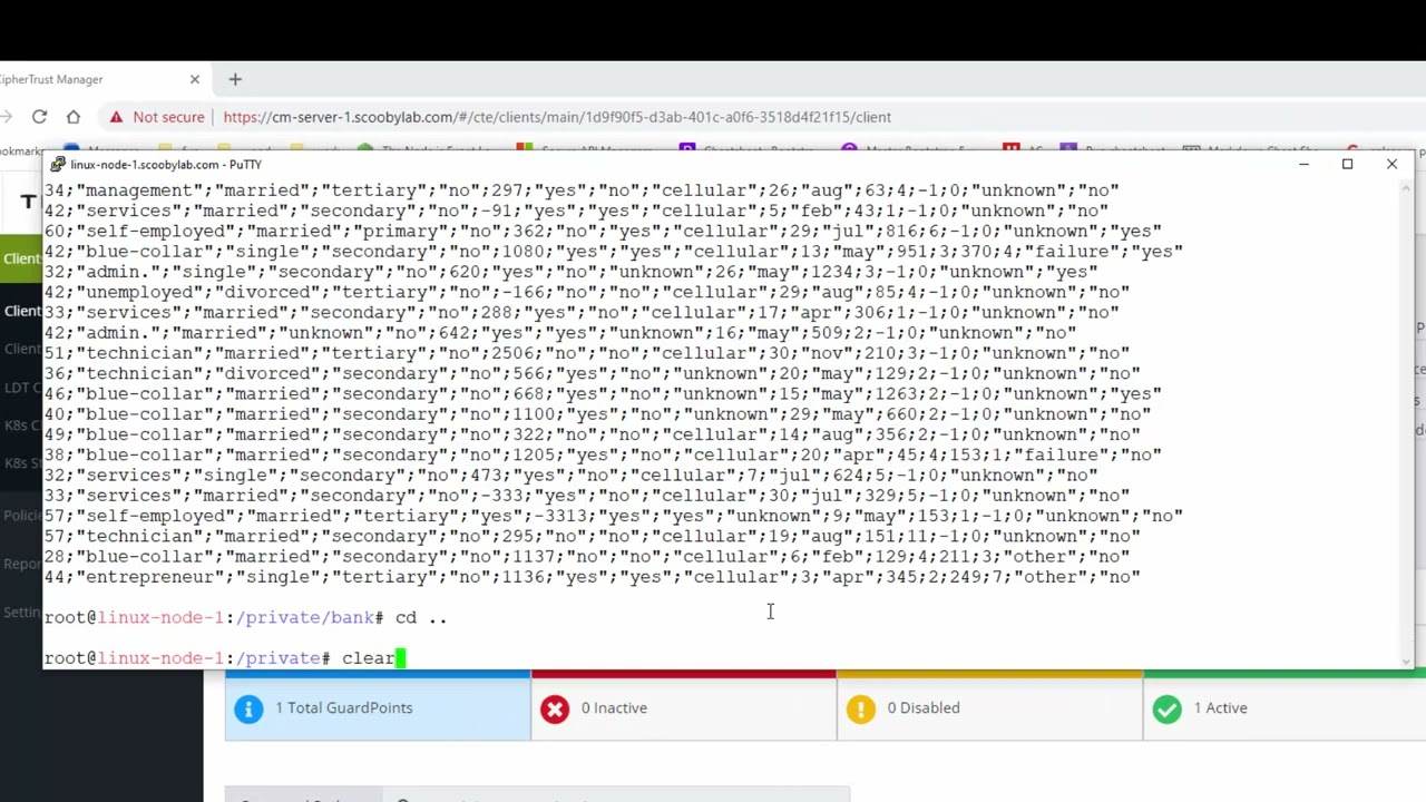 CipherTrust Transparent Encryption Overview