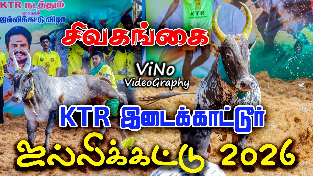 🔴🔴 சிவகங்கை KTR இடைக்காட்டூர் ஜல்லிக்கட்டு 2026 | KTR Idaikattur Jallikattu 2026 | ViNo VideoGraphy