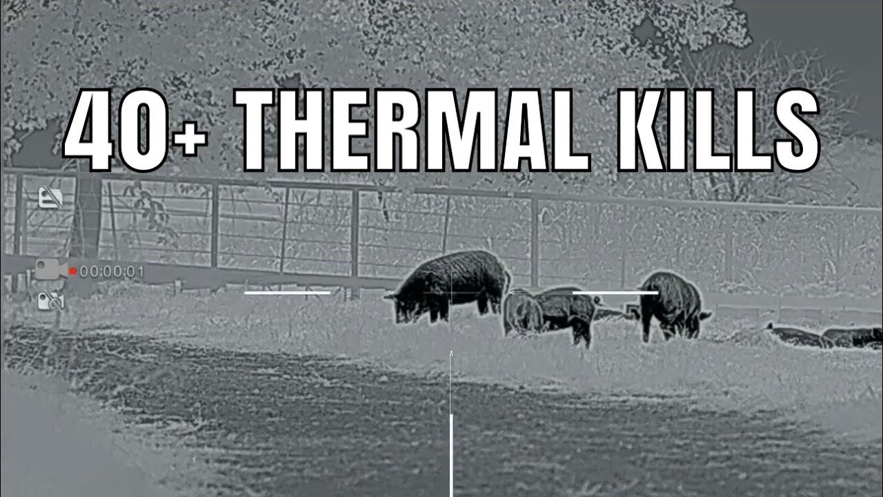 40+ THERMAL KILLS