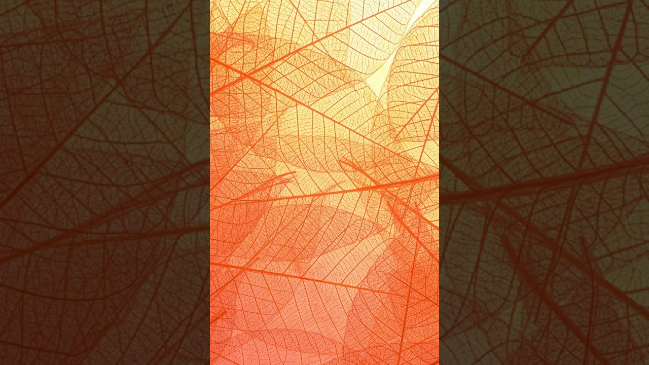 soft light meditation #lightmeditation #softmusic #softmeditation #musictomeditate