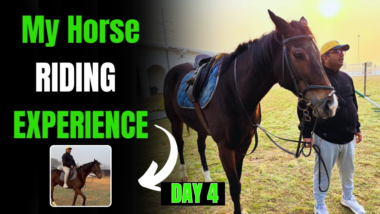 Horse Riding Experience Part 4 | #trending #lifeafter40 #horseriding