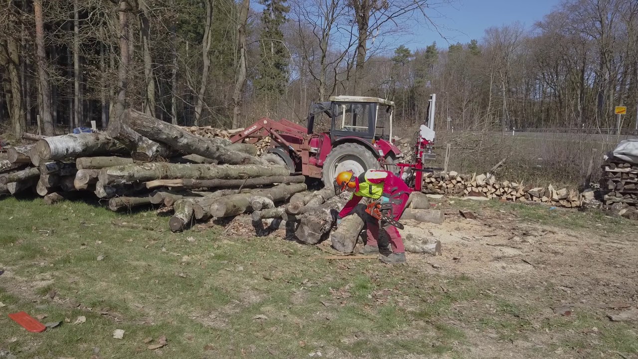 Brennholz | Vogesenblitz 12t | Husqvarna 353 |