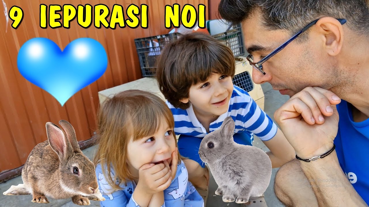 Am adus încă 9 IEPURAȘI și am mărit familia de Pitici - Viața la țară -