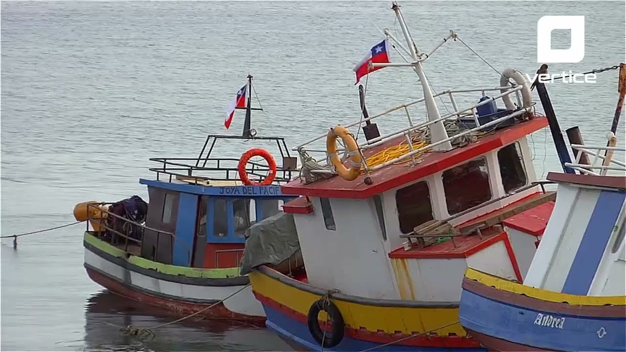 CONDEPP celebra avance en Ley de Pesca que permite movilidad de tripulaciones