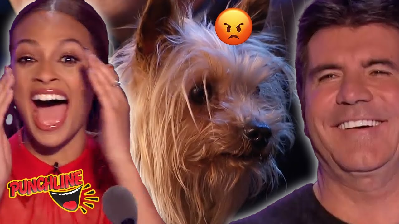 This Dog Goes CRAZY On Britain's Got Talent!