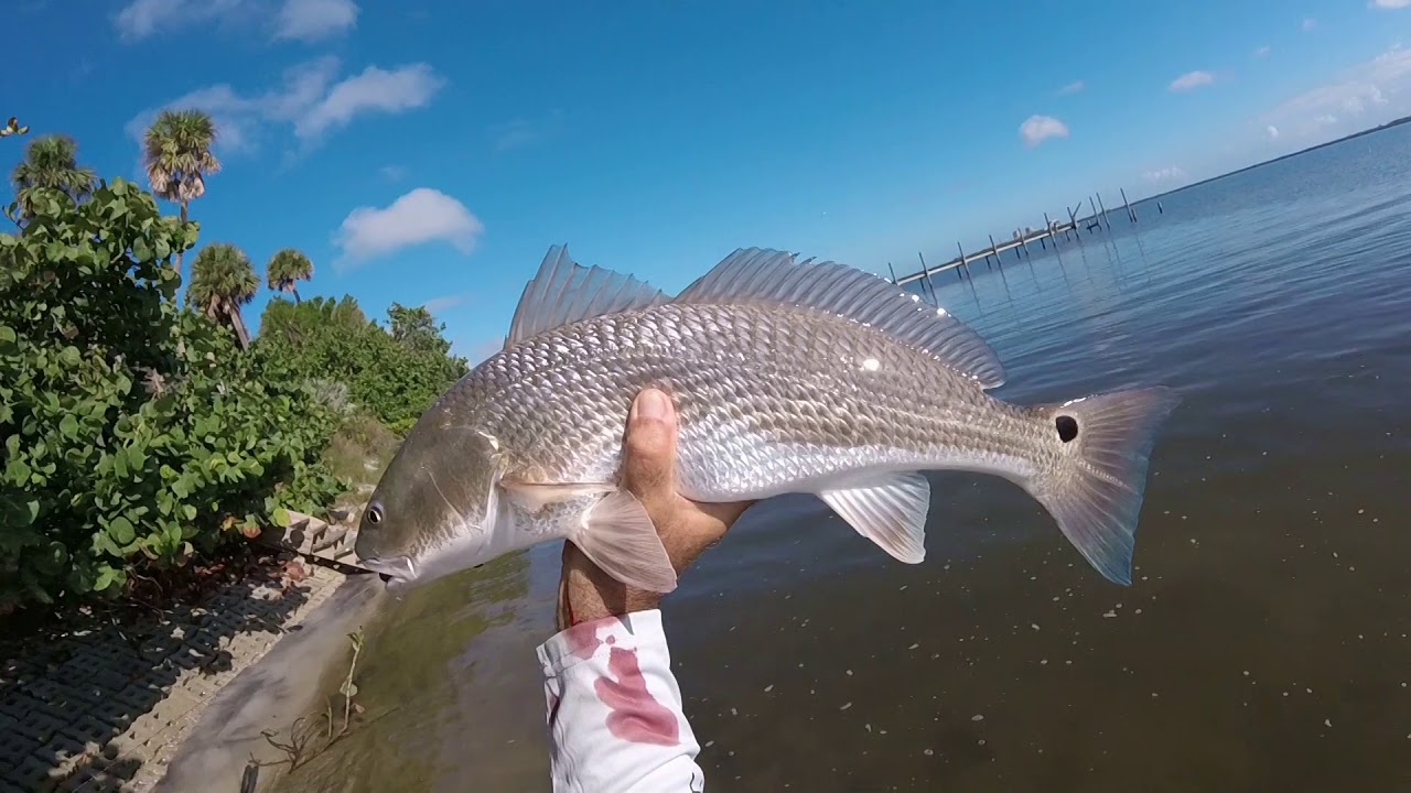 Fort Pierce Redfish Fishing