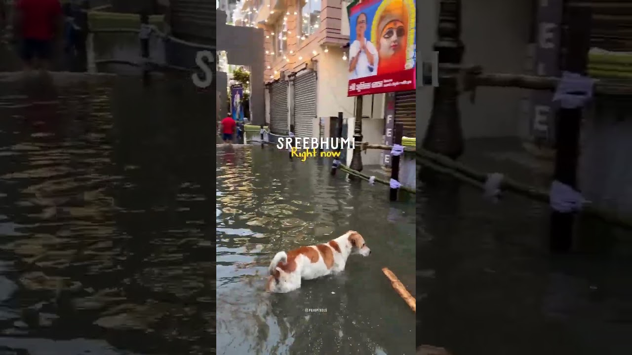 Kolkata durga puja pandal shreebhumi situation right now #durgapuja2025