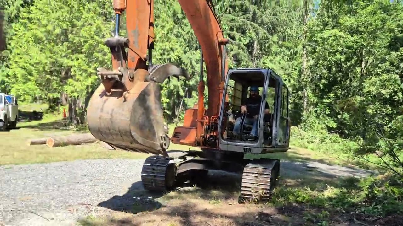 Dealing with some interesting bear traps