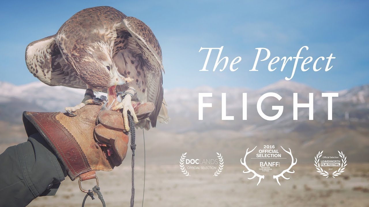 The Perfect Flight