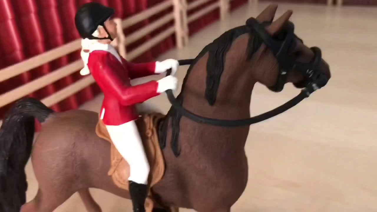 10 Arten von Pferdebesitzern 👱🏻‍♀️🐴 | Schleich Video