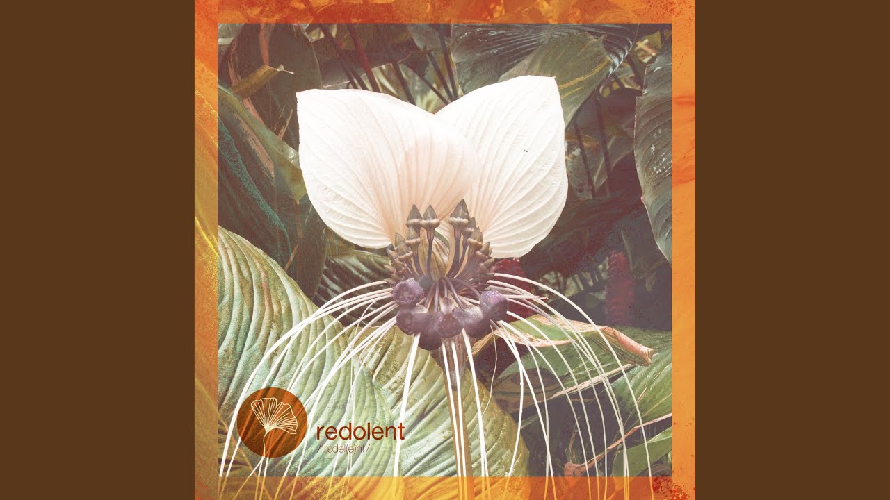 Namaqua