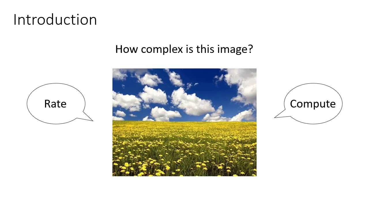 Neural Activity of Image Complexity VSS2020