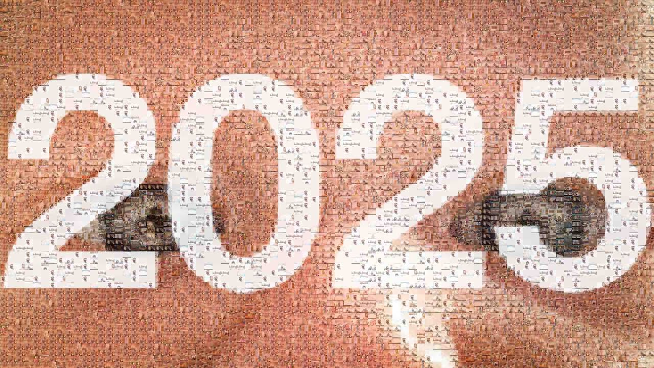 2025 en 365 secondes