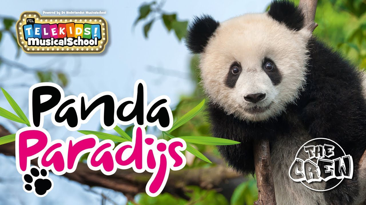 Telekids Musicalschool - The Crew - Panda Paradijs (Officiële Video)