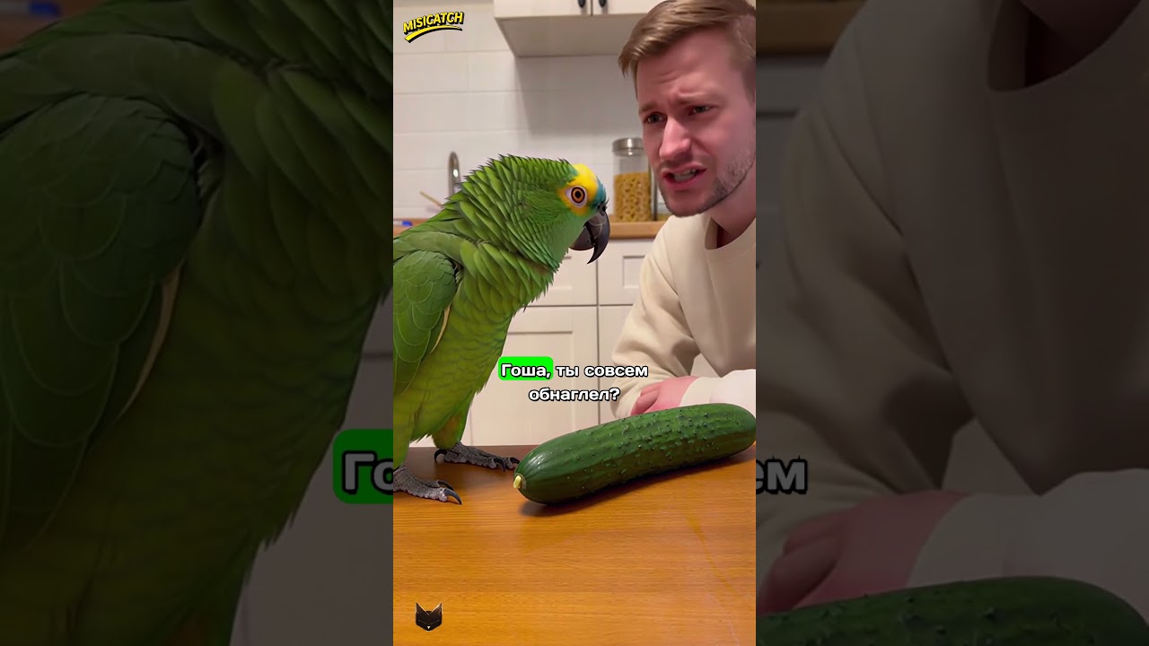 ГОША ОБЪЯВИЛ СЕБЯ СТРАТЕГОМ И ЗАБРАЛ ОГУРЕЦ! 😱🥒 ЭТО ВОЙНА!