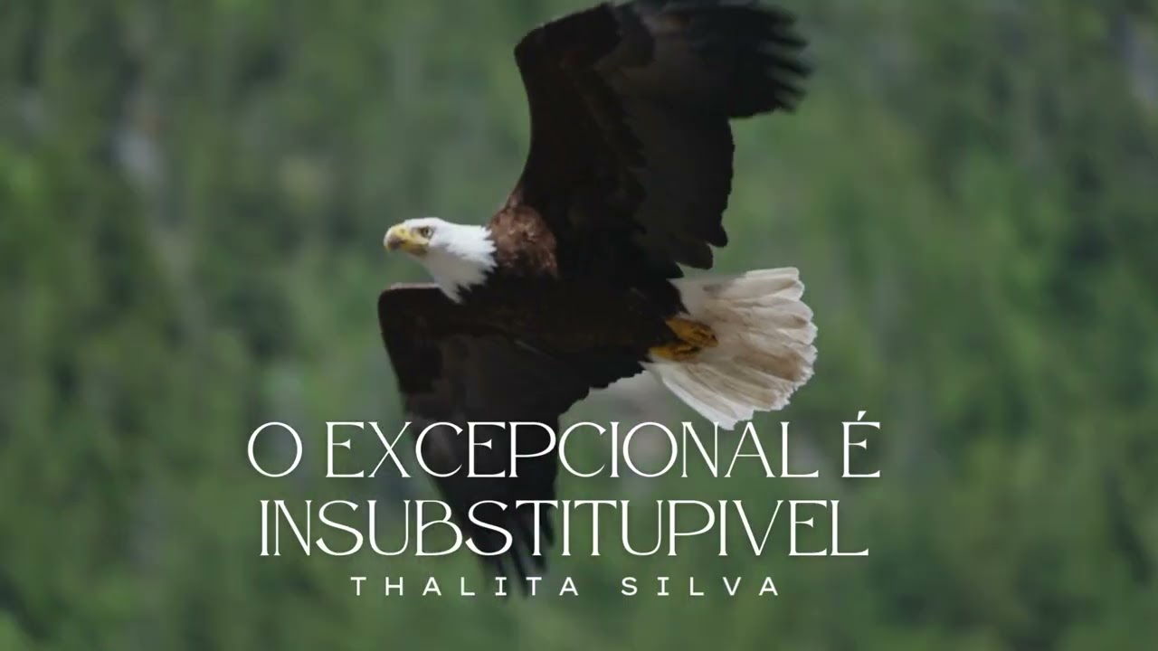 O excepcional é insubstituível | Thalita Silva