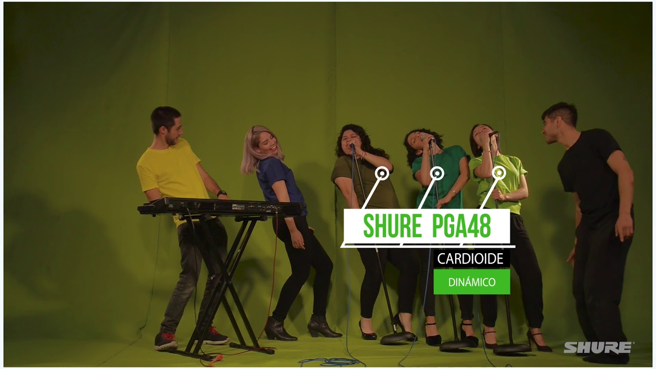 PGAlta: voces