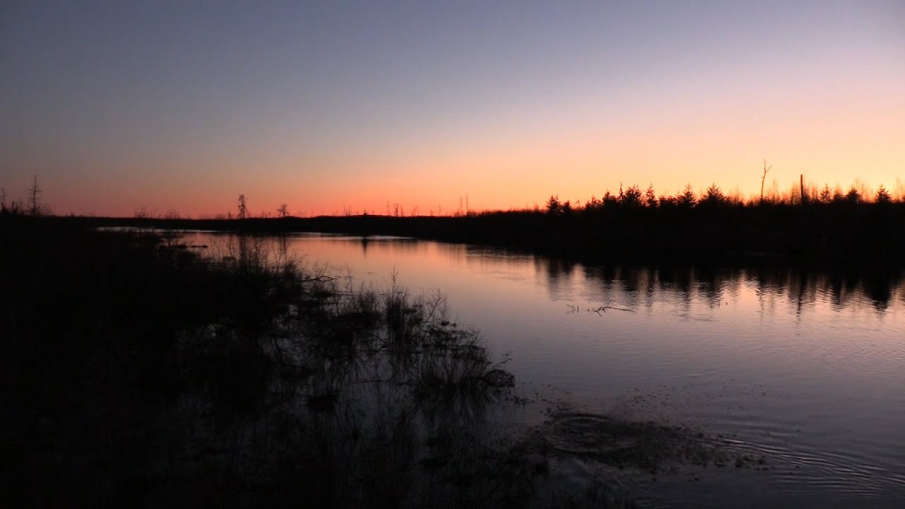 Dusk Visitors and Cave Echoes - BWCA ambiance.