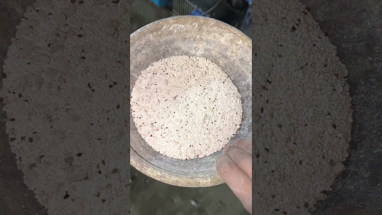 لو بتربي حمام اعمل كده بسرعه 