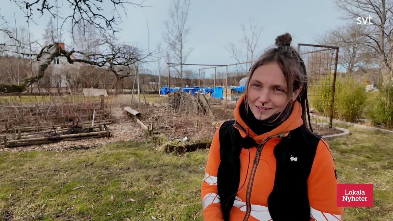 Levmo Träddvård AB SVT Södermanland 2025