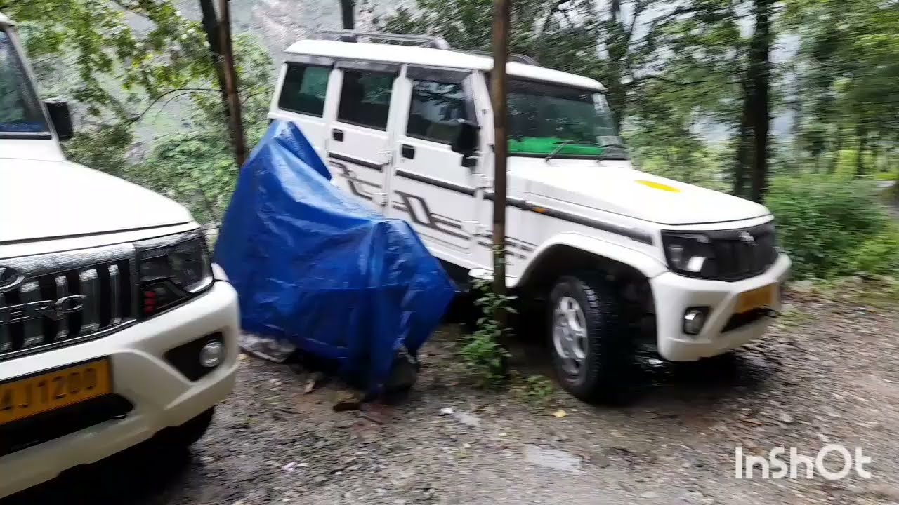 trivial vlog