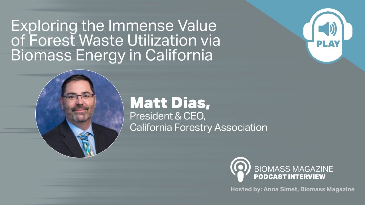 Exploring the Immense Value of Forest Waste Utilization via Biomass Energy in California