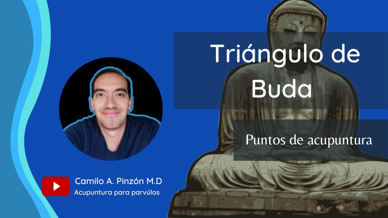 TRIÁNGULO DE BUDA: Que es ? | Acupuntura para párvulos