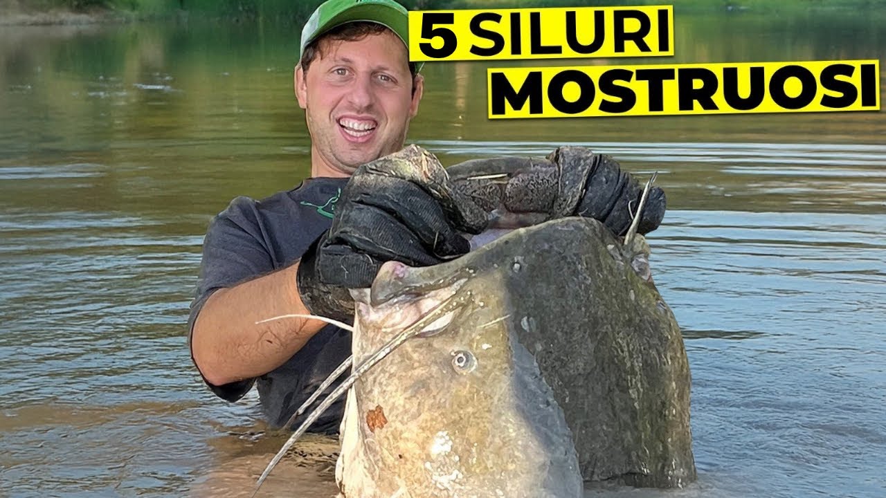 Catturo 5 MOSTRI nel fiume Po! *Record*