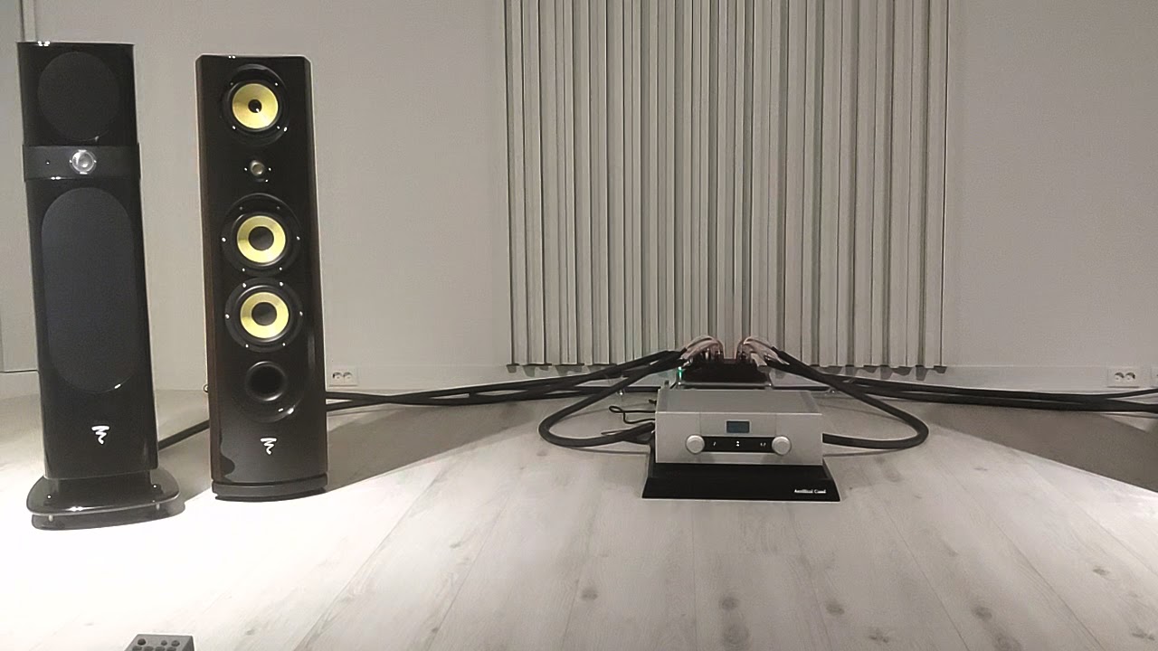 03 FOCAL Sopra N2 + GOLDMUND Telos 590