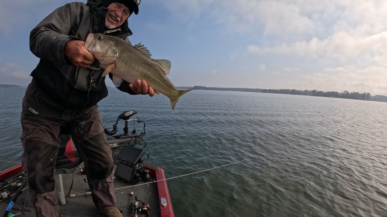 Deep Water Perch, Making Them Bite, Lake Murray