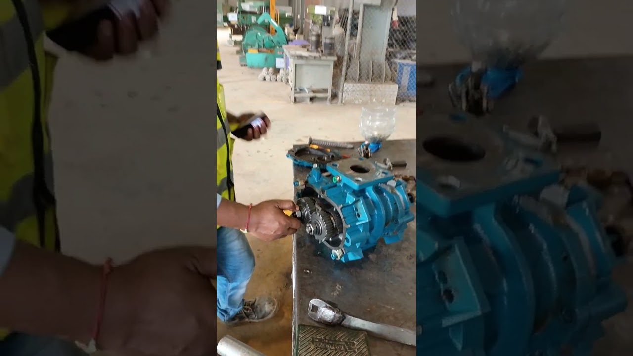 Root blower assembly (Robuschi)