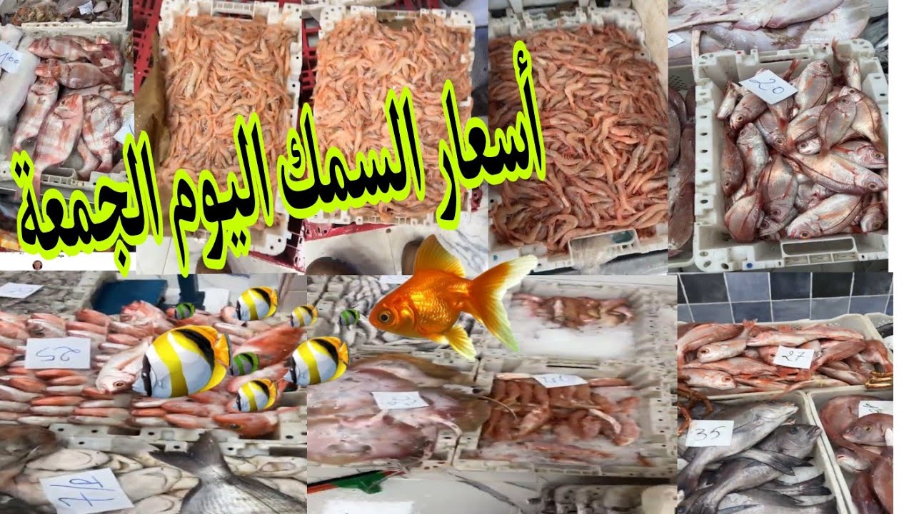 ثمن السمك بالمغرب🐠🦐اليوم الجمعة 6 فبراير 2026#المغرب🇲🇦#سوق_المغربPoisson de qualité à prix abordable