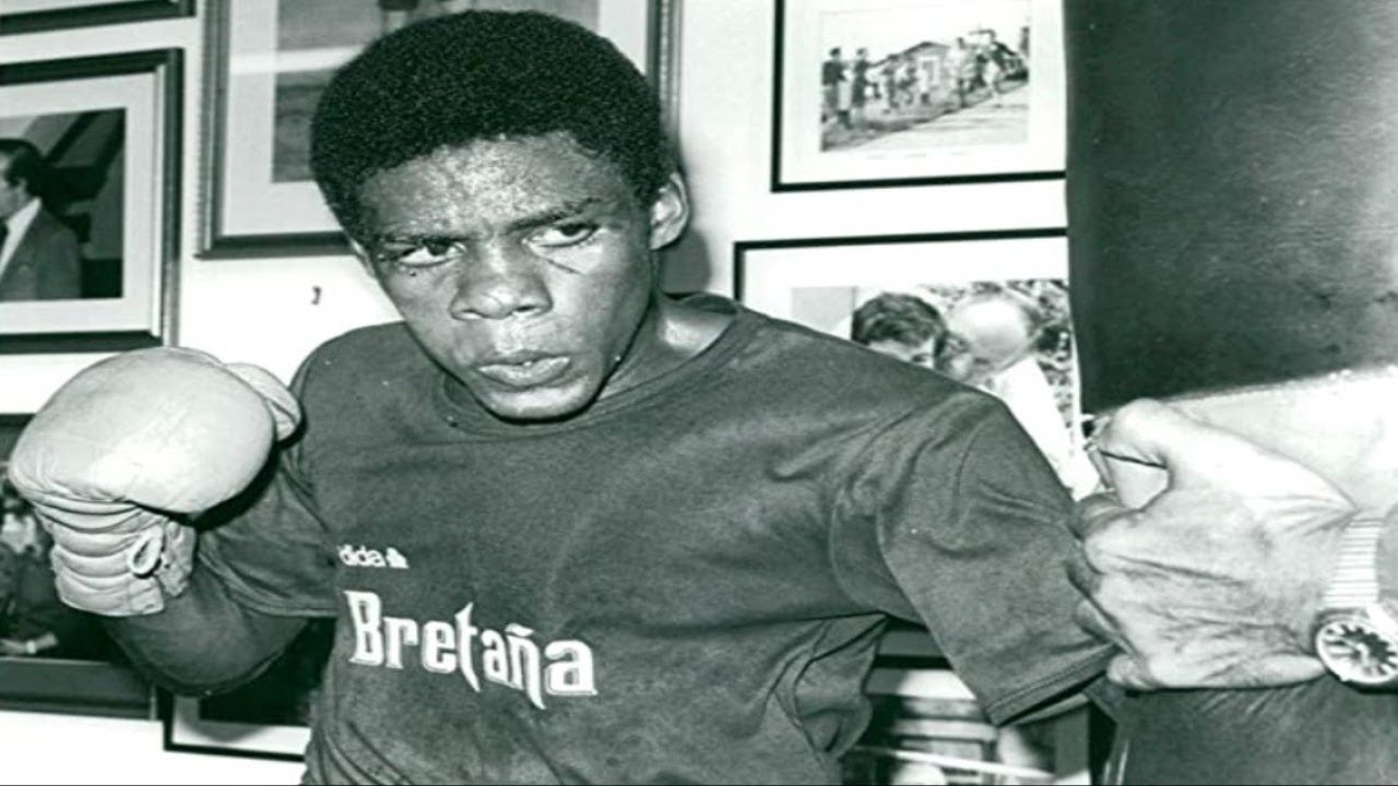 Fidel Bassa - Supreme Boxer/Puncher (Highlight Reel)