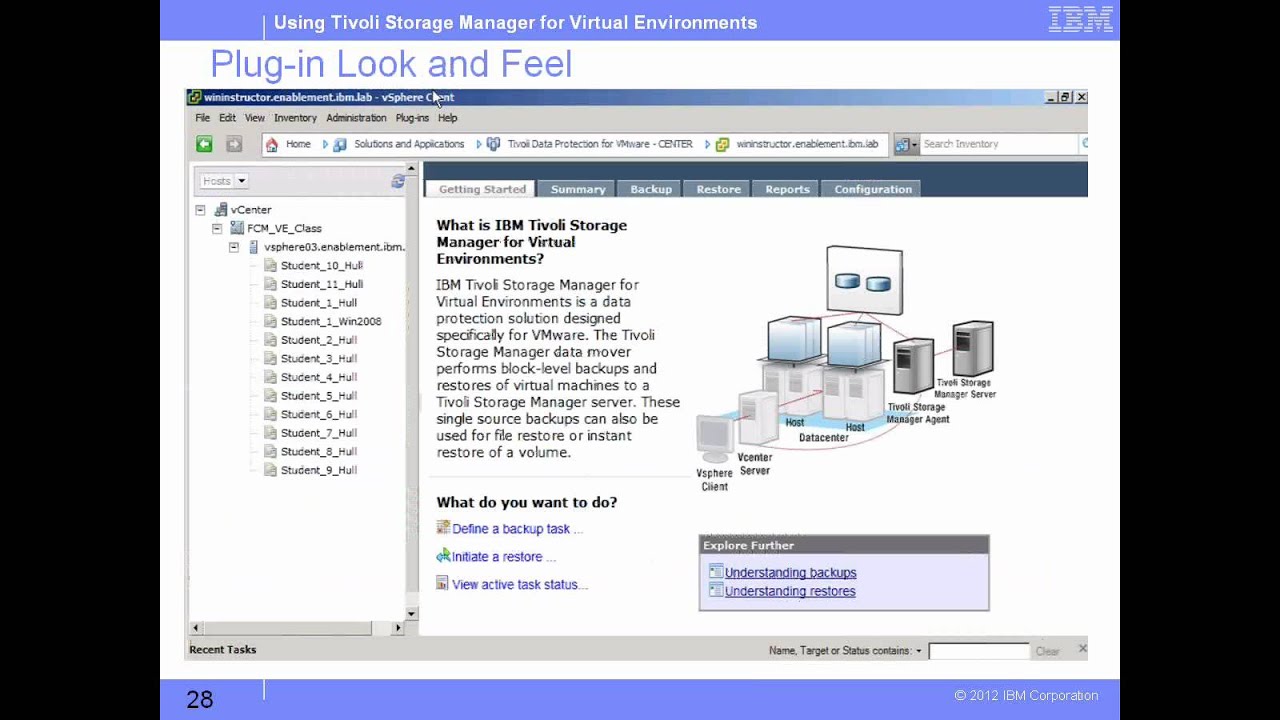Understanding Tivoli Storage Manager for Virtual Environments