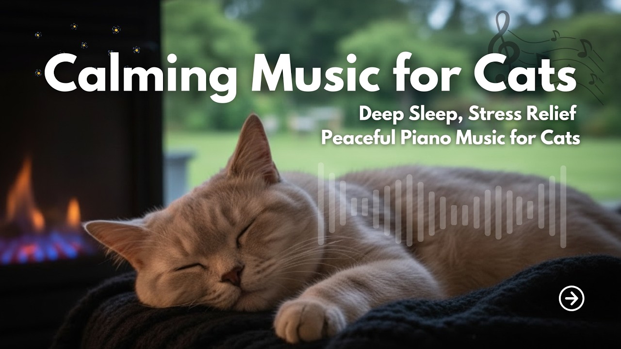 Calming Cat Music 🐾 Relaxing Piano for Cats | Deep Sleep, Stress Relief & Anxiety Reduction