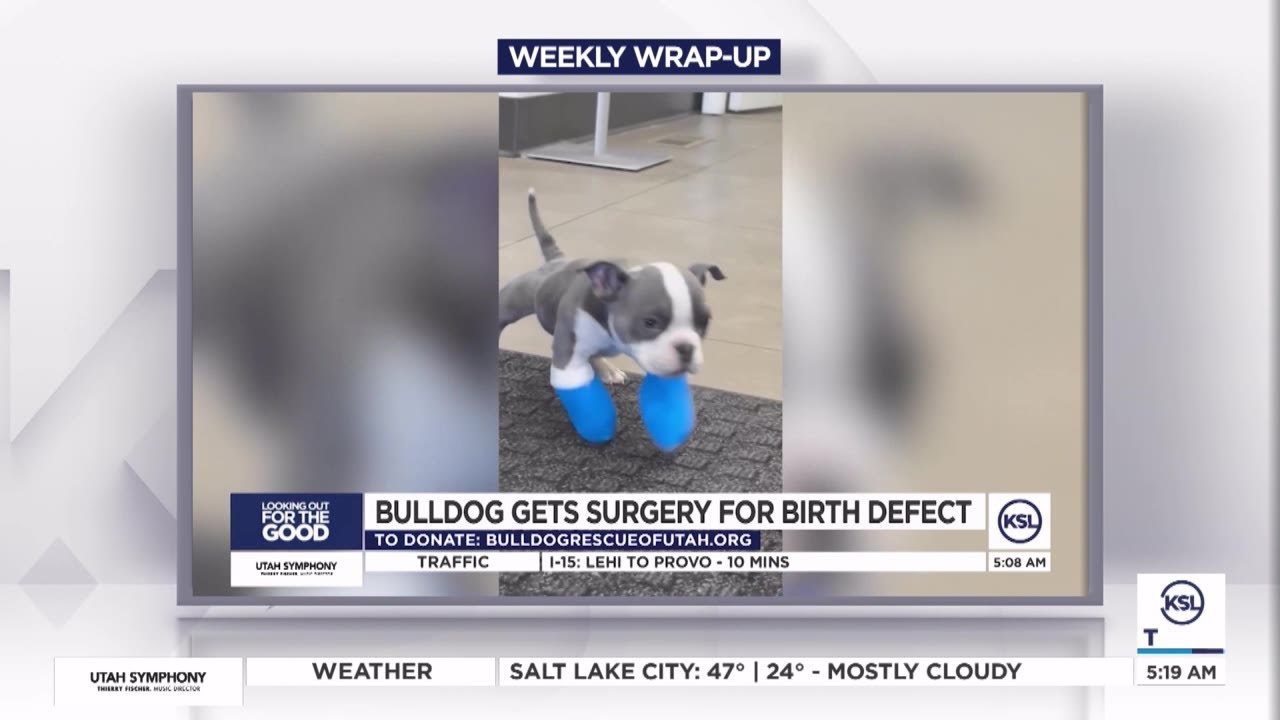 KSL TV's Weekly Wrap Up Jan. 31, 2025