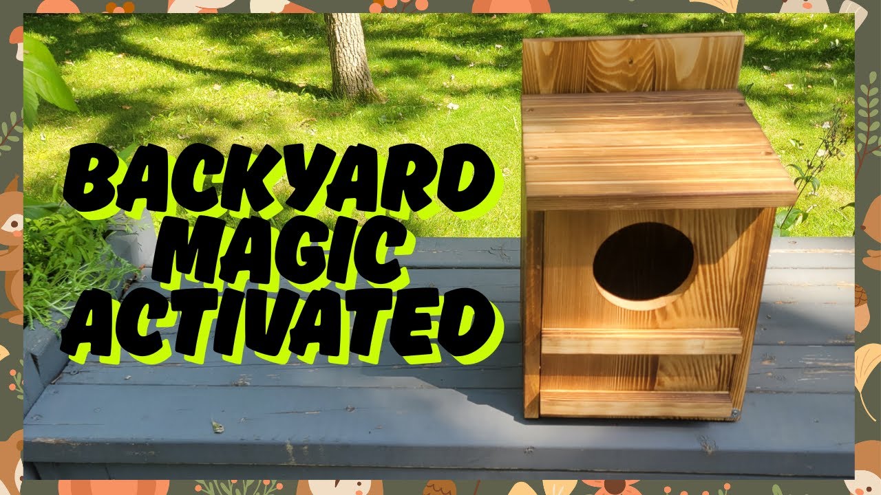 Owl Nesting Box That Actually Works&mdash;Cozy, Weatherproof & Made My Backyard a Wildlife Show