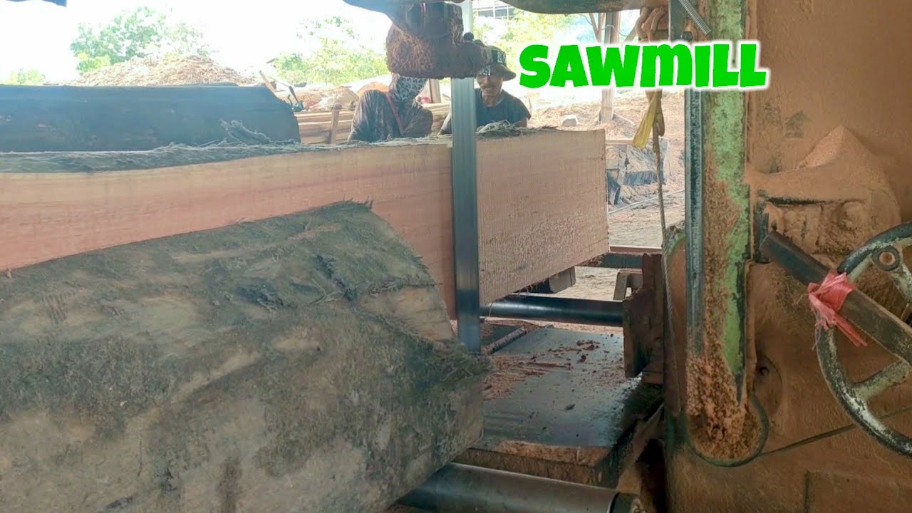 sawmill//proses penggergajian kayu meranti