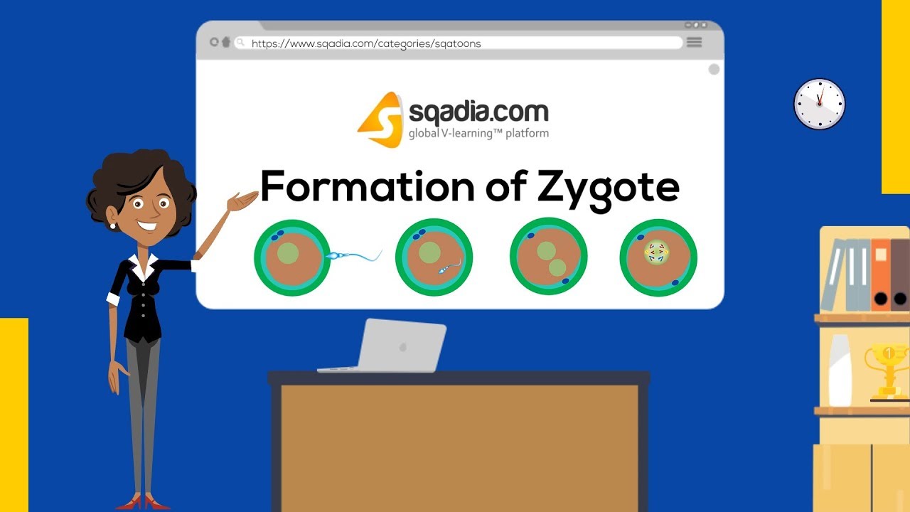 Formation of Zygote | Embryology Student V-Learning | Medical Animation | sqadia.com