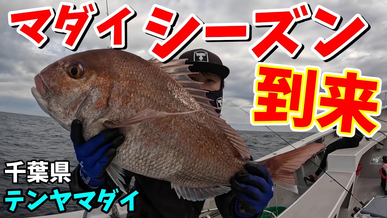 今が大鯛を釣るチャンス！外房テンヤマダイ最高！