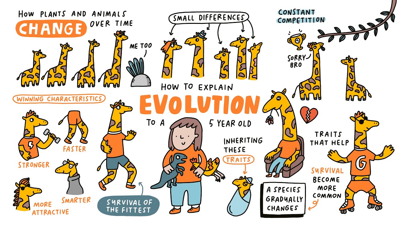 How to explain evolution to kids