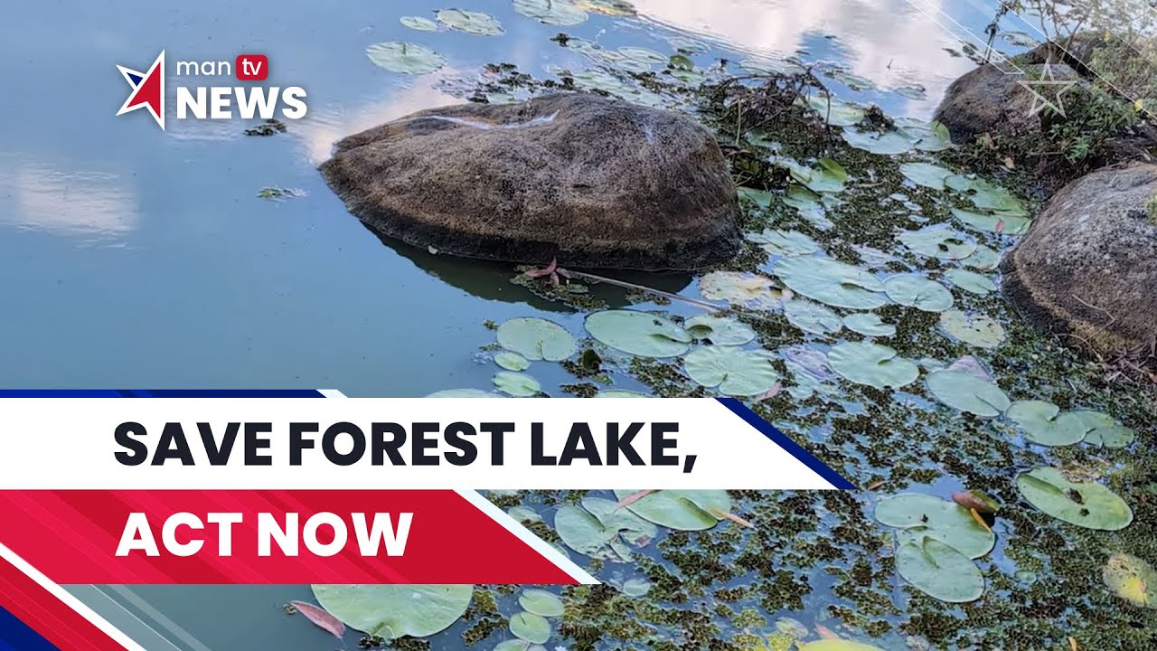 Saving Forest Lake: Residents Fight to Restore Brisbane’s Iconic Lake