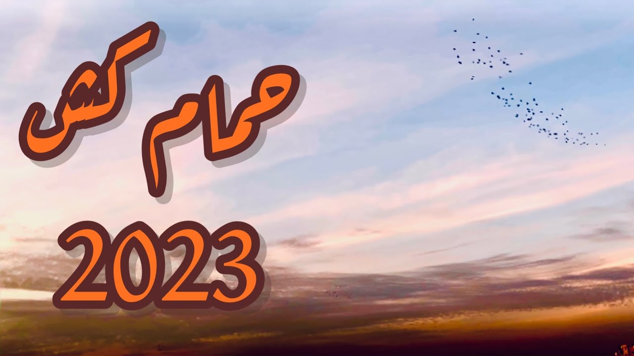 حصريا. حمام كش 2023.🫶🔥🫶