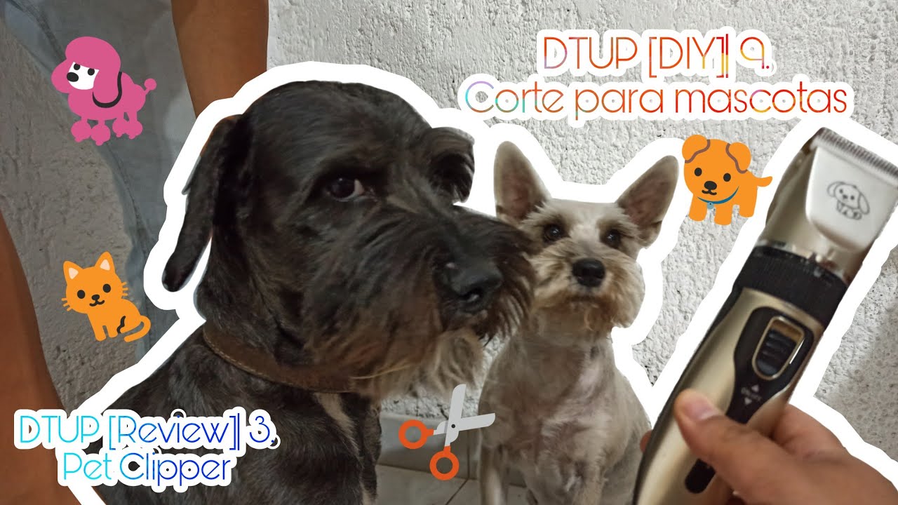[DIY]| 9. 🐩CÓMO CORTARLE 💇 EL PELO A UN PERRITO🐕- [REVIEW]| 3. 🐶#PETCLIPPER 🐾| DTUP