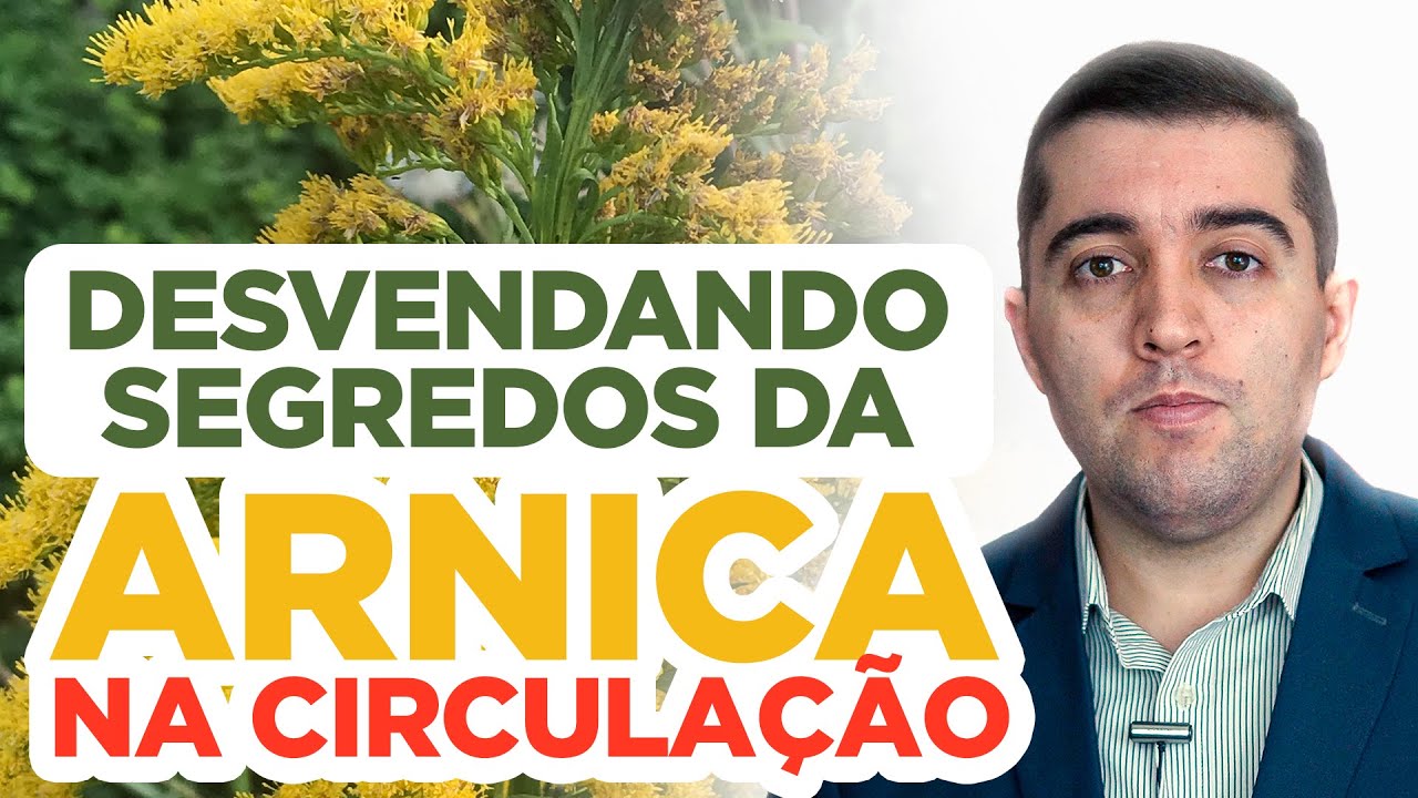 Arnica: impacto surpreendente da natureza na má circulação e história da planta que curou gerações