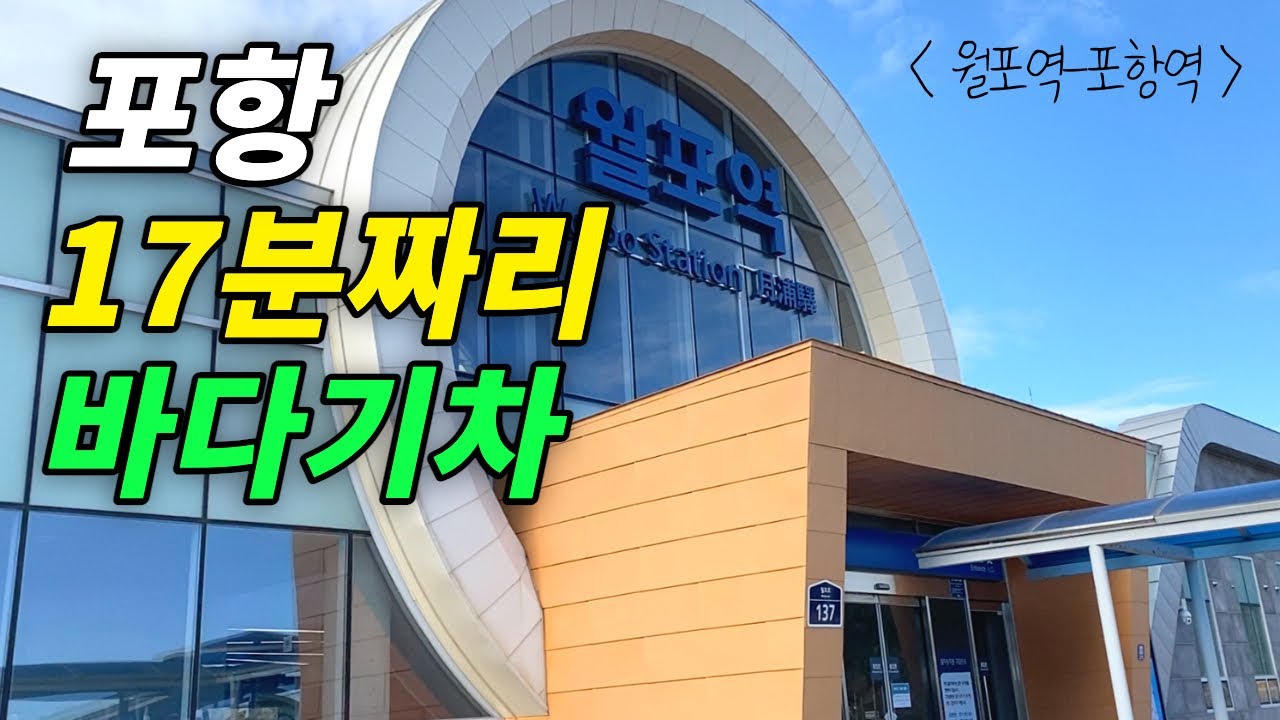 🚊17분짜리 바다기차 타고 월포에서 포항오기 | 우주최강 화덕피자 | 포항전망좋은카페