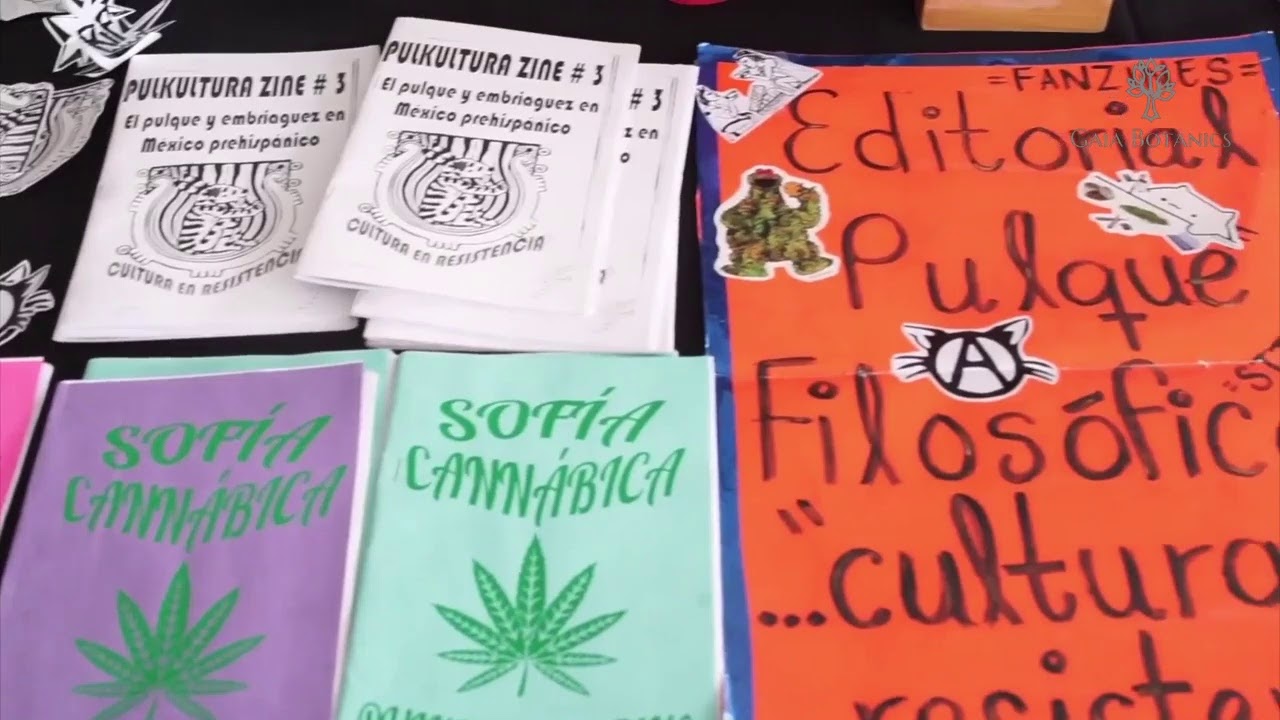 Copa cann&aacute;bica online - 420 2020